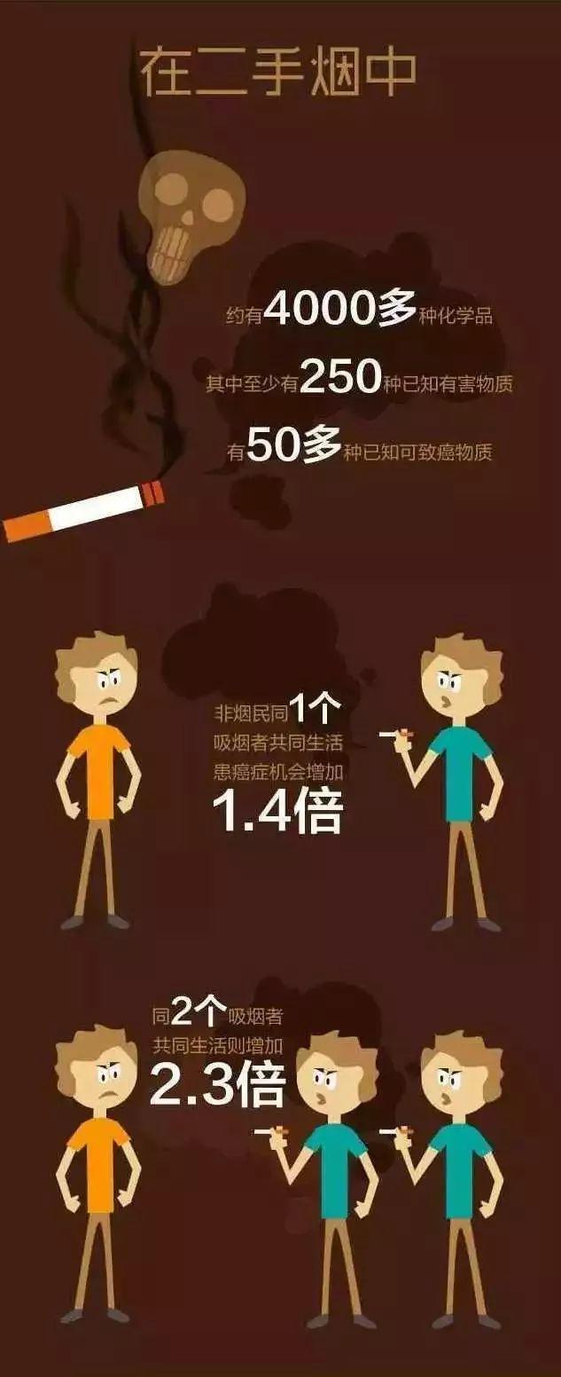heets:【IQ说】吸烟详细数据，看完后你还敢吸烟吗